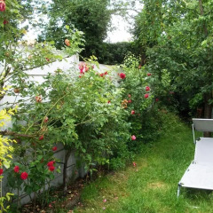 Отель B&B Casa Gabriel Бельгия, Брюссель - отзывы, цены и фото номеров - забронировать отель B&B Casa Gabriel онлайн