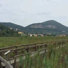 Отель Collina Lagomare Массароза балкон