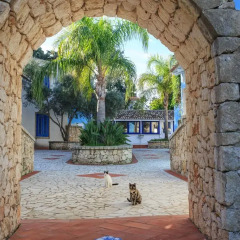 Отель Borgo Marino Aparthotel Сиракуза бассейн фото 3