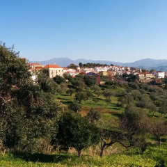 Отель Casa Lippi Казаль-Велино фото 2
