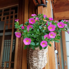 Отель Dajayon Hanok Stay Южная Корея, Сеул - отзывы, цены и фото номеров - забронировать отель Dajayon Hanok Stay онлайн балкон