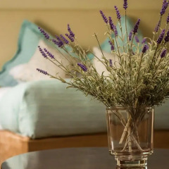 Bunratty Castle Hotel and Angsana Spa удобства в номере