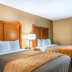 Отель Comfort Inn North/Polaris 2* Стандартный номер с 2 отдельными кроватями