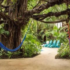 Отель Eco-hotel El Rey del Caribe Мексика, Канкун - отзывы, цены и фото номеров - забронировать отель Eco-hotel El Rey del Caribe онлайн бассейн фото 4