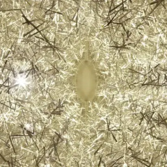 Отель Le Westin Montréal Канада, Монреаль - отзывы, цены и фото номеров - забронировать отель Le Westin Montréal онлайн