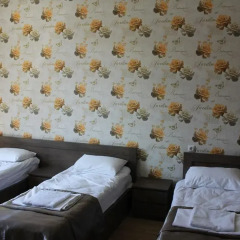 Hotel Mimino Стандартный номер с различными типами кроватей фото 6