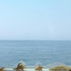 Отель Feels Like Home Porto Sea View House пляж