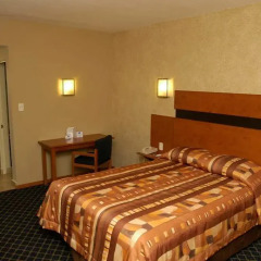 American Inn Hotel & Suites Delicias 3* Стандартный номер с различными типами кроватей фото 2