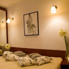 Гостиница Troyanda Karpat 3* Номер Эконом разные типы кроватей фото 13