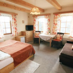Отель FRYDL 4* Номер Комфорт фото 2