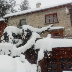 Отель Zornica Guest House Болгария, Чепеларе - отзывы, цены и фото номеров - забронировать отель Zornica Guest House онлайн фото 8