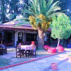 Medusa Camping Турция, Патара - отзывы, цены и фото номеров - забронировать отель Medusa Camping онлайн питание