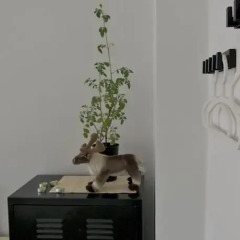 Tabouret Rooms Хостел спа