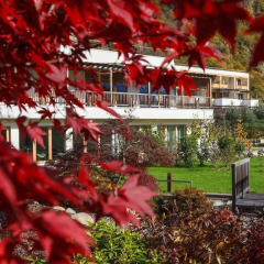 Отель theiners garten BIO Vitalhotel ****Superior Италия, Горнолыжный курорт Ортлер - отзывы, цены и фото номеров - забронировать отель theiners garten BIO Vitalhotel ****Superior онлайн помещение для мероприятий фото 2