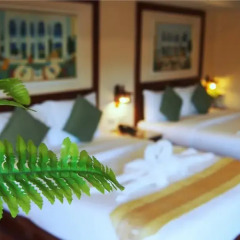 Отель Pacific Club Resort 4* Номер Делюкс 2 отдельные кровати фото 2