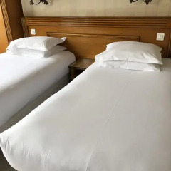 Hotel de Prony удобства в номере