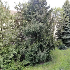 Апартаменты Manu Apartment Вена фото 2