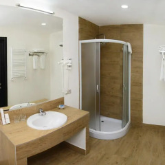 Best Western Tbilisi Art Hotel (Бест Вестерн Тбилиси Арт Отель) Стандартный номер