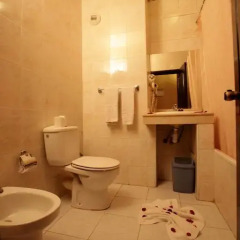 Отель Imperial Holiday Hôtel & spa 4* Стандартный номер с различными типами кроватей фото 4