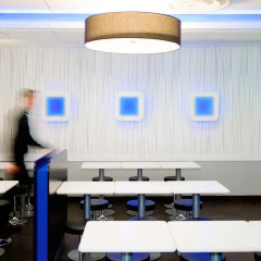 Hotel Ibis Budget Nice Palais Nikaia с домашними животными