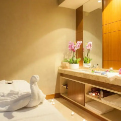 ISG Airport Hotel - Special Class спа
