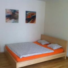Апартаменты Garden Studio Apartment Zürichberg комната для гостей фото 3