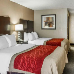 Отель Holiday Inn Express Columbus Downtown 2* Стандартный номер с различными типами кроватей