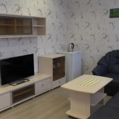 Hotel Aviator Номер Делюкс с различными типами кроватей фото 7