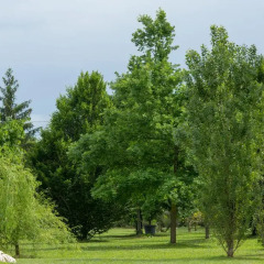 Отель Ca'Bevilacqua Bed&Breakfast Бертиноро фото 4