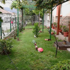 Отель Koliu Malchovata House Трявна