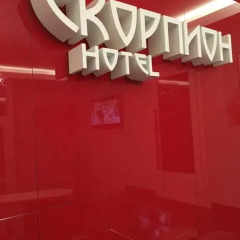 Гостиница Мини-Отель Скорпион в Перми отзывы, цены и фото номеров - забронировать гостиницу Мини-Отель Скорпион онлайн Пермь бассейн