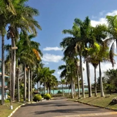 Отель Carib Beach Apartments, Negril Ямайка, Вестморленд - отзывы, цены и фото номеров - забронировать отель Carib Beach Apartments, Negril онлайн пляж