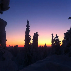Отель Lapland Hotel Sky Ounasvaara Финляндия, Рованиеми - 2 отзыва об отеле, цены и фото номеров - забронировать отель Lapland Hotel Sky Ounasvaara онлайн фото 6