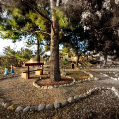 Отель The Olive Mill Aparthotel Испания, Ориуэла - отзывы, цены и фото номеров - забронировать отель The Olive Mill Aparthotel онлайн детские мероприятия фото 2