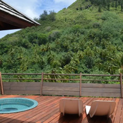 Отель Villa Honu by Tahiti Homes Французская Полинезия, Муреа - отзывы, цены и фото номеров - забронировать отель Villa Honu by Tahiti Homes онлайн бассейн фото 2
