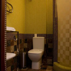 Гостиница Pidkova 4* Стандартный номер с различными типами кроватей фото 7