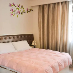 Select City Center Hotel 3* Стандартный номер фото 8