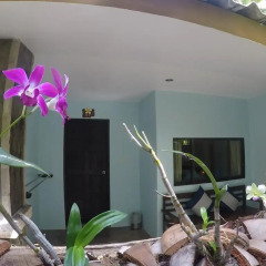 Отель Koh Tao Simple Life Resort 3* Стандартный номер с различными типами кроватей фото 2