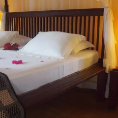 Hotel Flower Garden 3* Номер Делюкс с различными типами кроватей