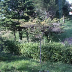 Отель Garden Villa Реканати