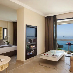 Отель Gran Melia Don Pepe 5* Классический номер с двуспальной кроватью фото 3