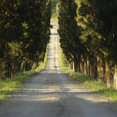 Отель Locanda dell'Amorosa Синалунга фото 11