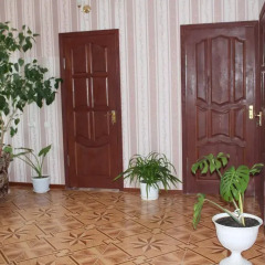 Гостиница Guest house Rafael в Анапе отзывы, цены и фото номеров - забронировать гостиницу Guest house Rafael онлайн Анапа интерьер отеля