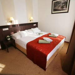 Отель Hunguest Hotel Palota Венгрия, Силвашварад - 1 отзыв об отеле, цены и фото номеров - забронировать отель Hunguest Hotel Palota онлайн комната для гостей фото 4