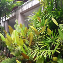 Отель The Fong Krabi Resort Таиланд, Краби - отзывы, цены и фото номеров - забронировать отель The Fong Krabi Resort онлайн фото 17