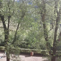 Отель B&B Il Merlo Стандартный номер с различными типами кроватей фото 10