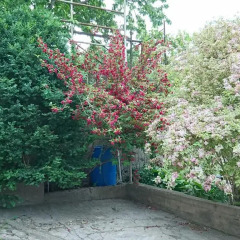Отель Garden House B&B