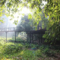 Отель The Country House Chalets Галле бассейн
