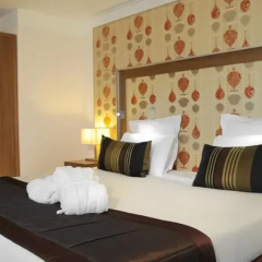 Hotel Mercure Bordeaux Centre Gare Saint Jean 4* Номер Classic с двуспальной кроватью фото 4