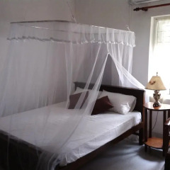 Отель Taprobane Home Stay - Negombo Номер категории Эконом с различными типами кроватей фото 3